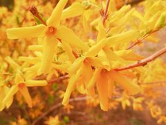 -鹫峰国家森林公园