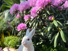 -上海辰山植物园