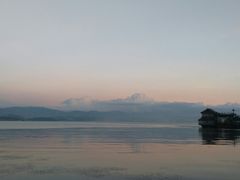 -才村湿地公园