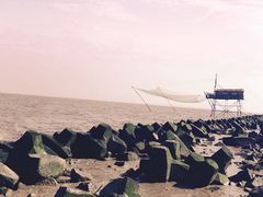 -南汇嘴观海公园