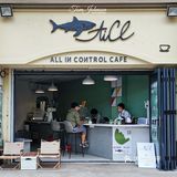 新店寫實｜上沙又一家清新綠風格社區咖啡館