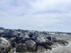 -硇洲岛旅游区