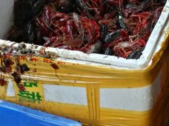 -熊记虾王·小龙虾(东晓南店)