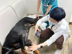 -美联众合动物医院·24h转诊中心