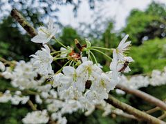 -龙头寺公园