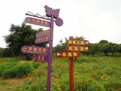 -松山湖梦幻百花洲