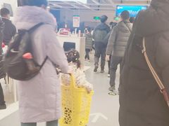 -宜家家居(四元桥商场店)