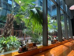 -日出拉面(望京店)