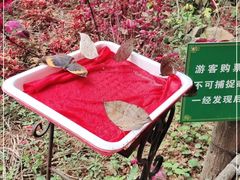 -水濂山森林公园