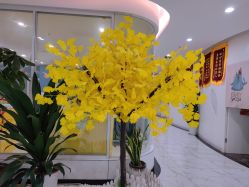 -纵享怡月月子中心(西稍门店)