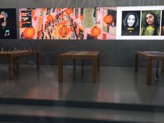 -Apple 零售店(Canton Road)