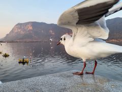 -呈贡滇池生态湿地公园