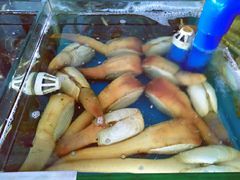 -清水湾3号(东方小周海鲜店)