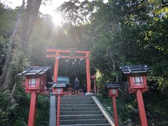 -岚山猴子公园