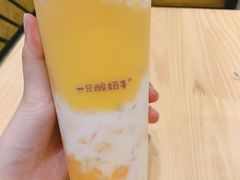 -一只酸奶牛(八一路店)