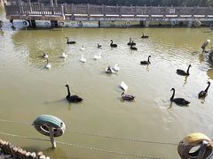 -无锡动物园·太湖欢乐园
