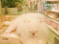 -龙猫仔乐园(惠福东路店)