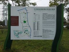 -桤木河湿地公园