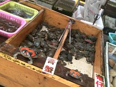-大湾区中央湿地公园-十九涌