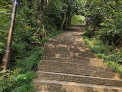 -杭州半山国家森林公园