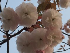 -新江湾城公园