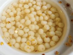 -苏城小院·园林精致苏州菜(斜塘老街店)