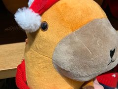 -星巴克臻选(郑州国贸360广场店)