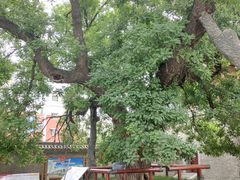 -洛阳周公庙博物馆