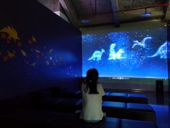 -恐龙探索乐园(磁器口店)