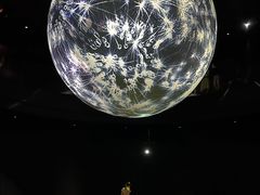 -大阪海游馆