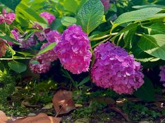 -常州古运河南大街文化旅游区-人民公园