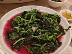 蒜泥苋菜-群乐饭店(滨安路店)