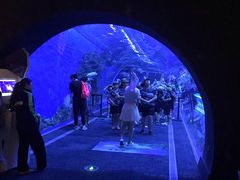 -成都浩海立方海洋公园