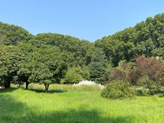 -河南省黄河迎宾馆