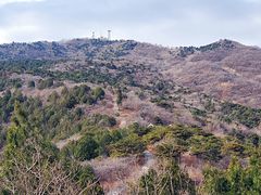 -北京西山国家森林公园