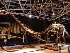 -世界恐龙谷景区