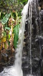 -苏州大学附属儿童医院(景德路院区)