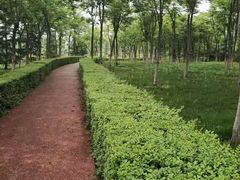 -洨河生态公园