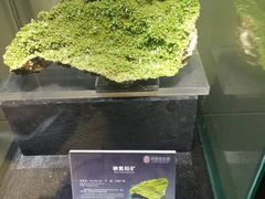 -中华赏石园