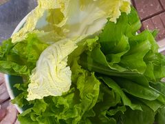 -探窝·竹笙椰子鸡(杨箕店)