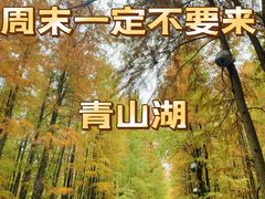 -青山湖景区