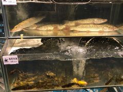 水产区-胖姐渔村(中源大道店)