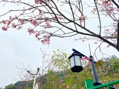 -小南山公园