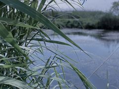 -亮河湾山庄