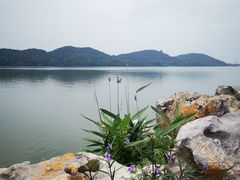 -东湖落雁景区