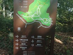 -上海佘山国家森林公园天马山园