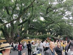 -桂林独秀峰王城景区