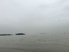 -湖南东洞庭湖国家级自然保护区