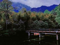 -祁门牯牛降观音堂风景区