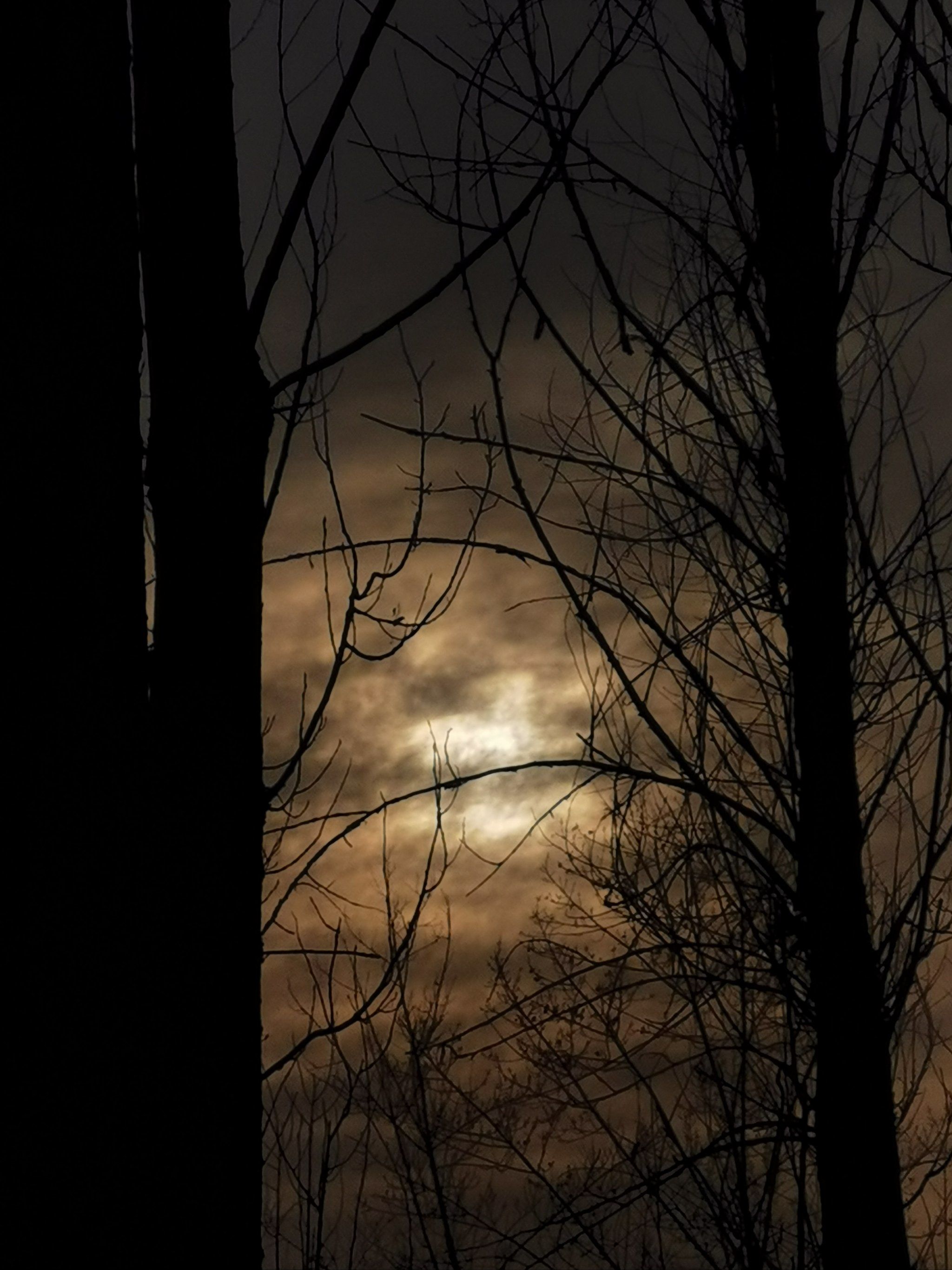 傍晚天空的孤独旅者